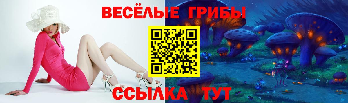Галлюциногенные грибы Psilocybe  Вход с VPN  закладки  Галлюциногенные грибы мицелий  Мурманск 